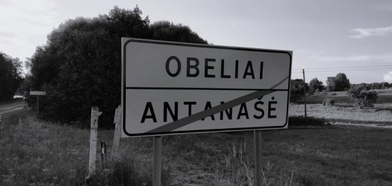 Obeliuose sumušta mergaitė