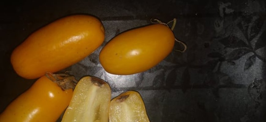 Bananinės kojos – labiausiai pervertintas pomidoras