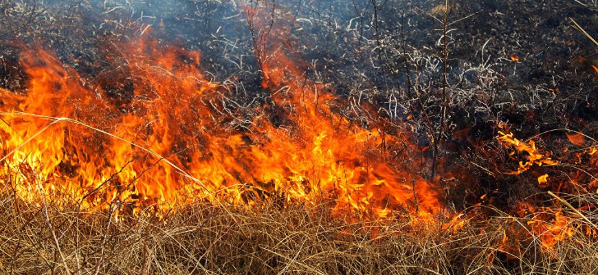 Balandžio 10 dieną Rokiškio rajone siautė gaisrai