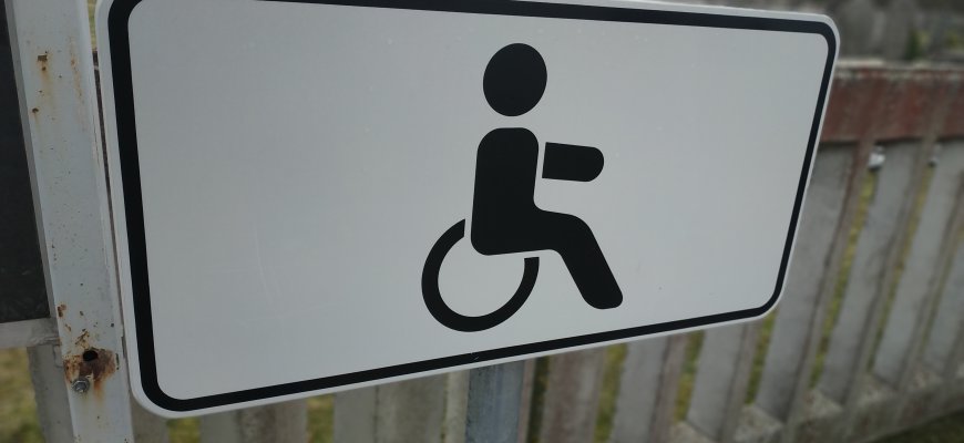 Nuo taršos mokesčio siūloma atleisti negaliųjų transporto priemones