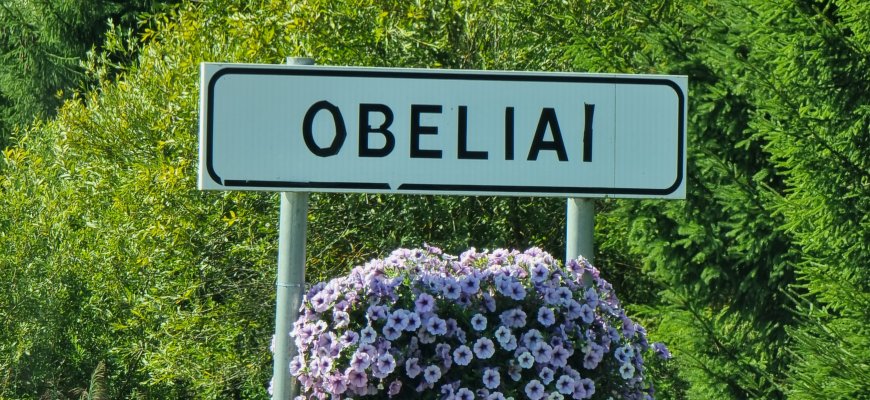 Obeliuose miesto parke vyks šeimų šventė „Viena šeima-viena širdis“.