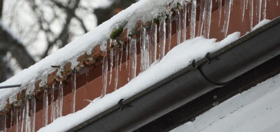 Ant stogų – baltasis pavojus