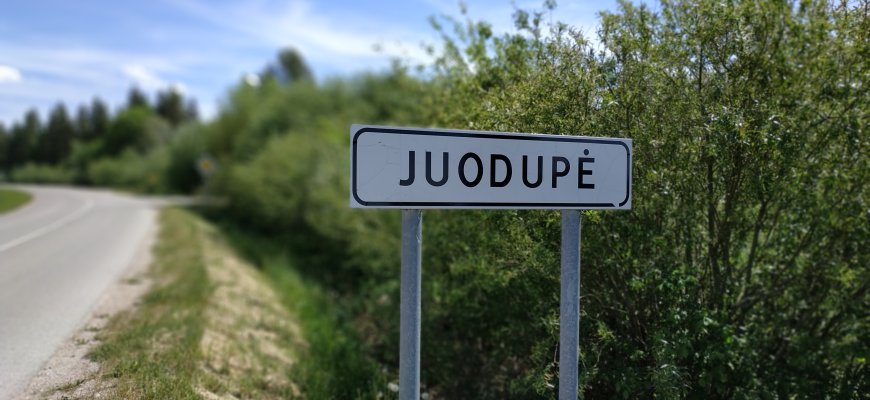 Neblaivų vairuotoją sustabdė medis