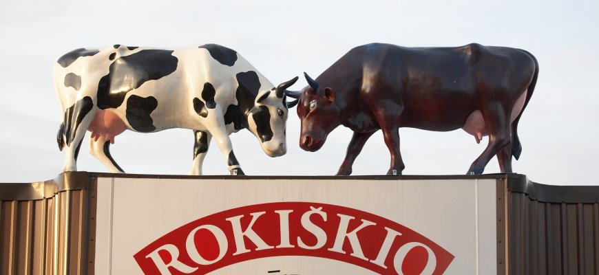 „Rokiškio sūris“ supirko 0,6 proc. savo akcijų