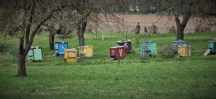 Bitininkams – daugiau kaip milijonas eurų paramos