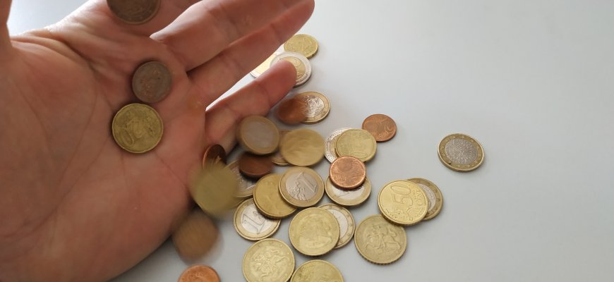 Seimas – prieš MMA nustatymo keitimą