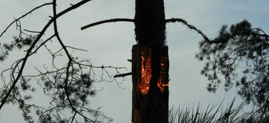 Reidų metu pareigūnai informuos gyventojus apie žolės deginimo pavojus