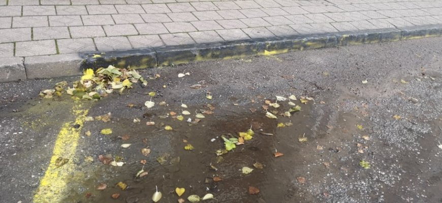Spalvų karas Panevėžio gatvės kiemuose