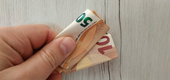 Seimas prezidento siūlymu įteisino tikslines stipendijas