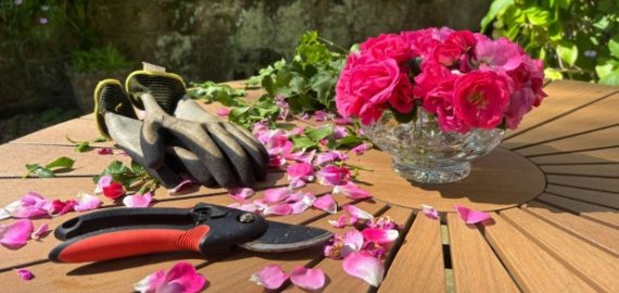 Sekatoriai: Kaip išsirinkti tinkamiausią įrankį savo sodui?