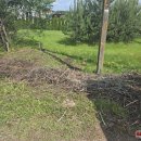 Juodupės g. nukrito gandralizdis - nutraukė elektros laidus (foto)