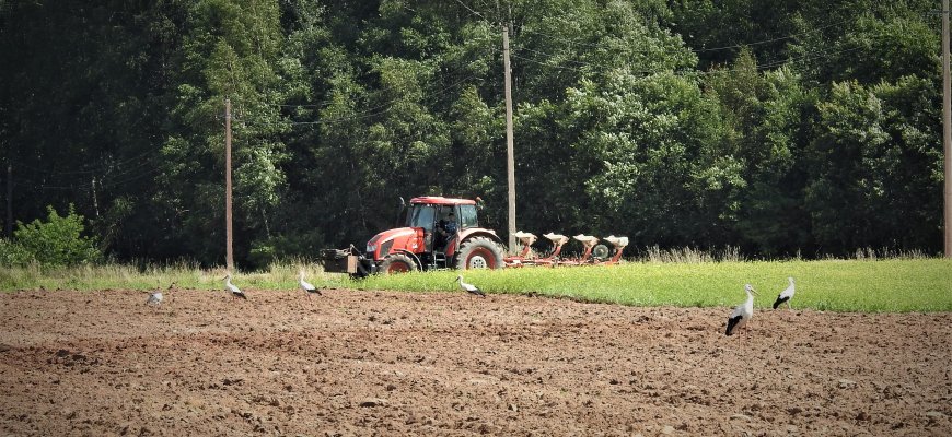 Tręšimo mėšlu ir srutomis terminas pratęstas iki šių metų gruodžio 1 d.