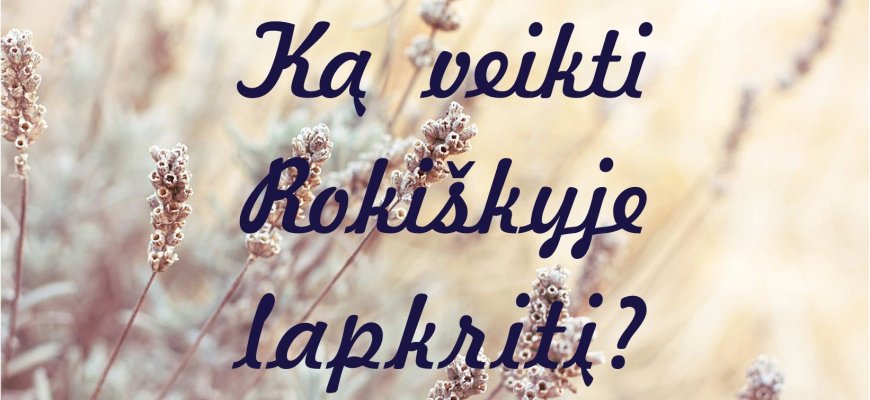 Ką veikti Rokiškyje lapkritį?