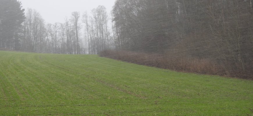 Pratęstas pasėlių deklaravimas