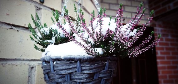 Sinoptikai: į Lietuvą atkeliauja 7 laipsnių šiluma, žiemos šalčiai nebesugrįš