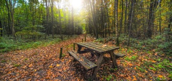 Kaip ir kur minėti gimtadienį?