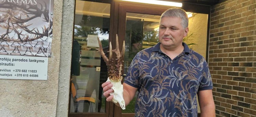 Rokiškio rajono medžiotojas didžiuojasi rekordiniais – auksiniais sumedžioto stirnino ragais