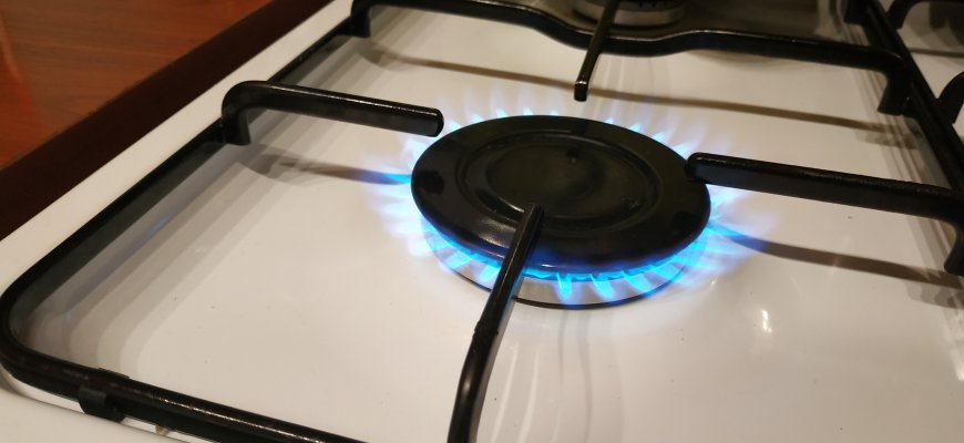 Seime – pataisos, kaip sumažinti elektros, dujų, šildymo kainų augimą