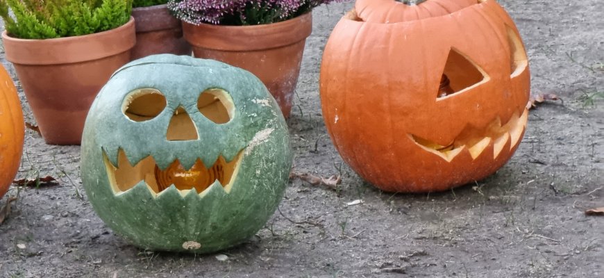 Rudens renginių ciklas Laibgaliuose