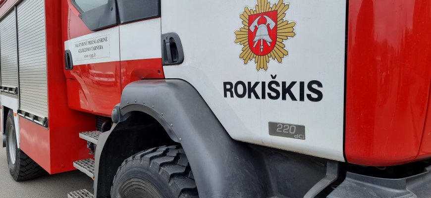 Ugniagesių savaitgalis: skęstanti katė ir daug virtusių medžių
