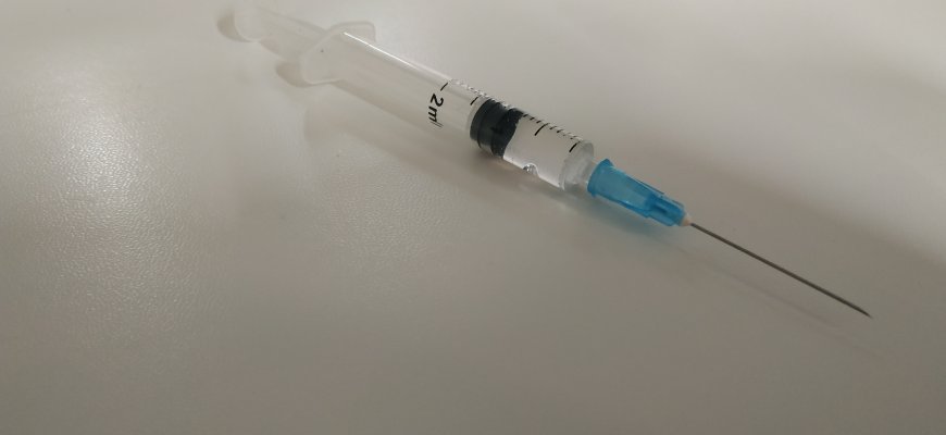 Pandėlio seniūnija kviečia skiepytis