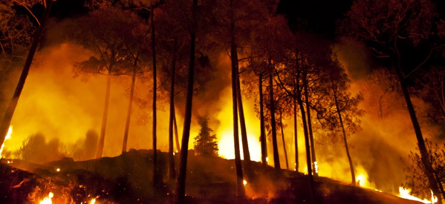 Dėl gaisrų Latvijoje Šiaurės Lietuvoje tvyro smogas