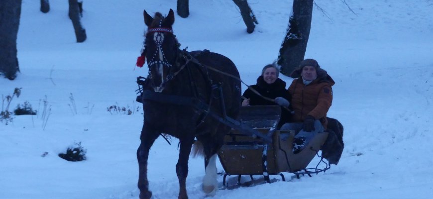 Arklio dieną Salų dvare aiškintasi, ar Vytautas Didysis girdė žirgus Juodojoje jūroje (foto)