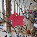 Profesinės šventės proga – padėkos raštais „Gėris rankose“ kolektyvui, gėlės ir smagus koncertas (foto)