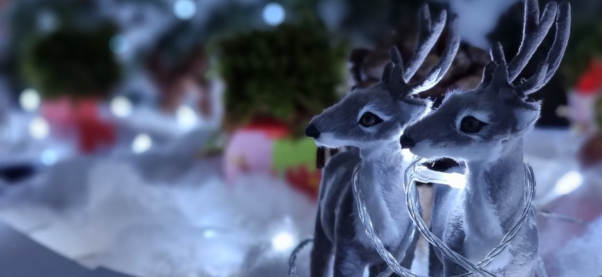 Šerkšno kambarys Salų dvare (video+foto)