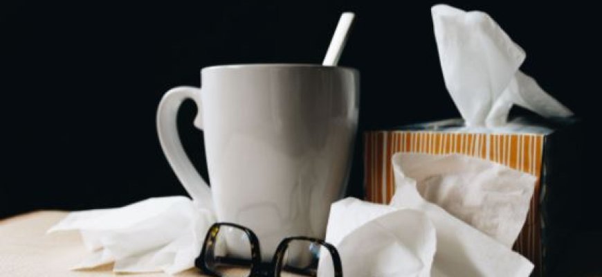 Imuninės sistemos stiprinimas artėjant šaltajam sezonui