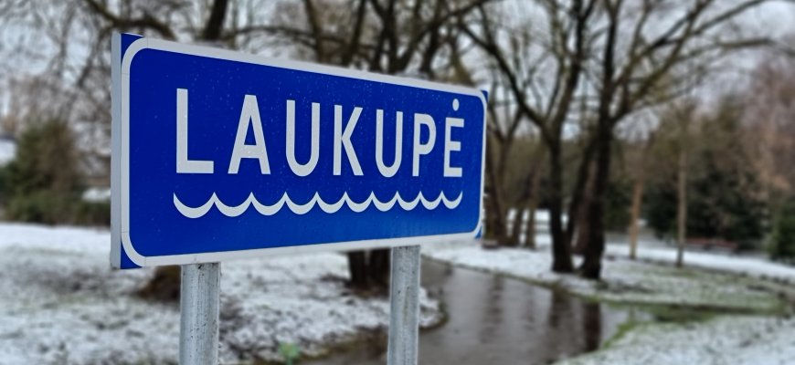 Taip patvinusios Laukupės dar nesate matę (foto+video)