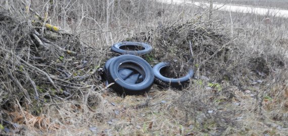 Kol vieni atliekas rūšiuoja, kiti jomis atsikrato miškuose