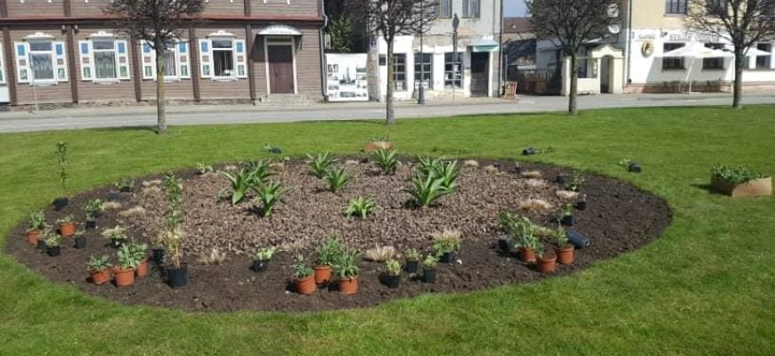 Rokiškyje sparčiai vyksta miesto apželdinimo darbai