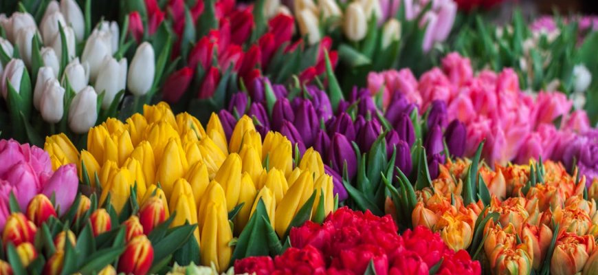 10 grožio dovanų idėjų Moters dienos proga