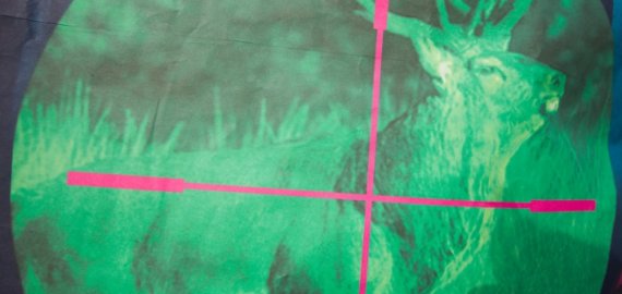 G. Nausėda vetavo Seimo sprendimą įteisinti naktinių taikiklių naudojimą medžioklėje