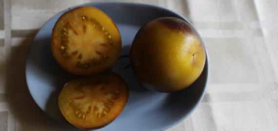 „Ananas blue“ – gražus vaisinio skonio pomidoras