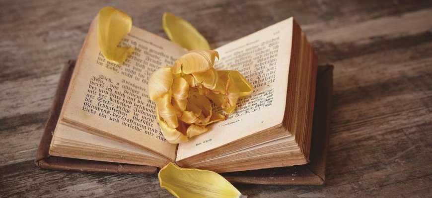 Parodos ir renginiai Rokiškio bibliotekose