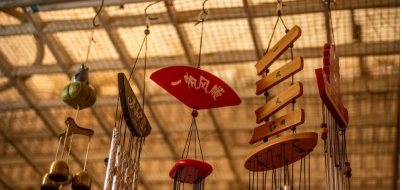 Ką daryti, jei norite kasdien girdėti žavų skambesį?