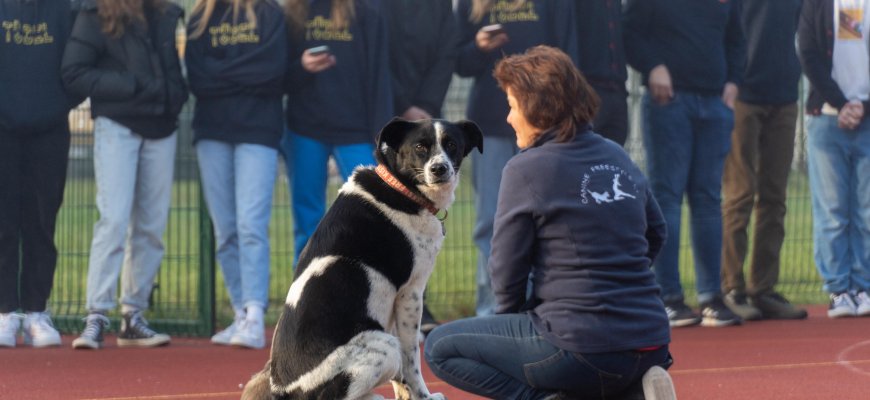 J. Tūbelio progimnazijoje vyko neįprasta edukacinė pamoka (video+foto)