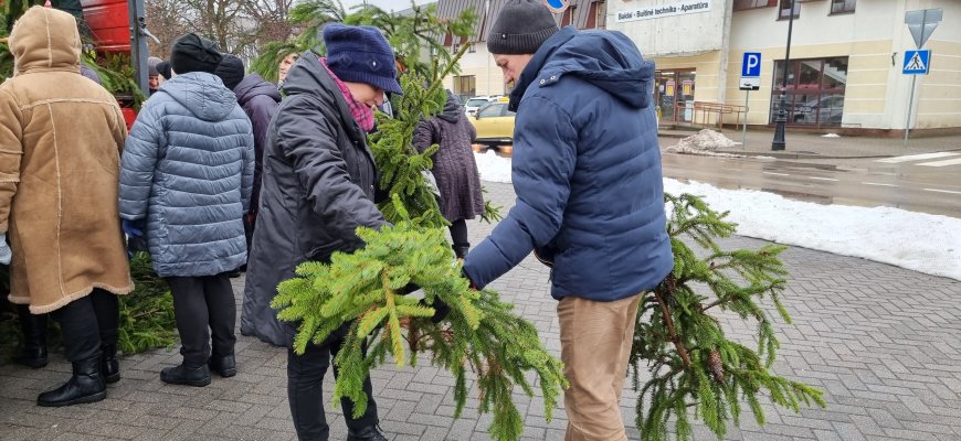 Rokiškėnų namai jau kvepia miškininkų dovanotomis eglių šakomis (foto+video)