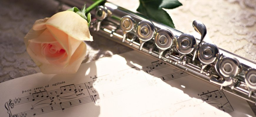 Gegužės 28-31 d. muzikinių gabumų patikrinimas stojantiesiems į muzikos mokyklą