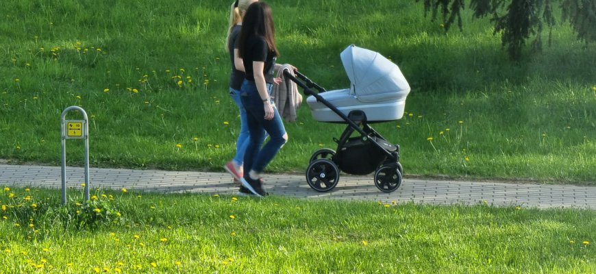 Seimas ėmėsi siūlymo palankiau skaičiuoti motinystės ir tėvystės išmokas
