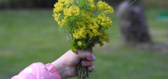 Motinos dienos proga Prezidentas apdovanojo ypatingai nusipelniusias mamas ir globėjas