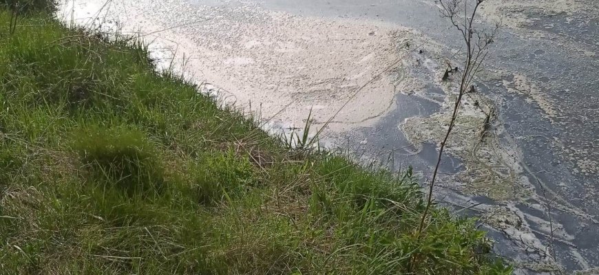 Baltai putojantis upelis uždavė mįslę
