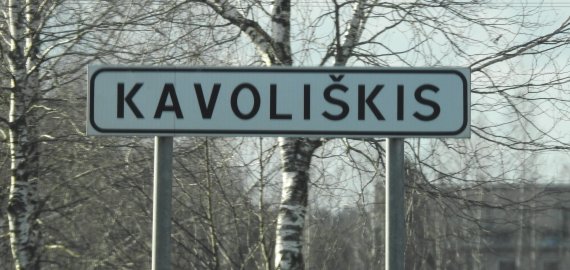 Kavoliškėno gyvybės išgelbėti nepavyko