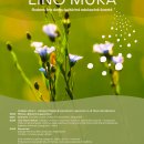 Sugrįžta „Lino mūka“: tradicijos, kultūra ir edukacija