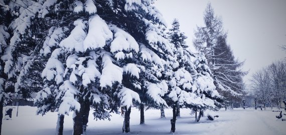 Lietuvą užgrius galinga sniego porcija – atkeliauja masyvus kritulių frontas
