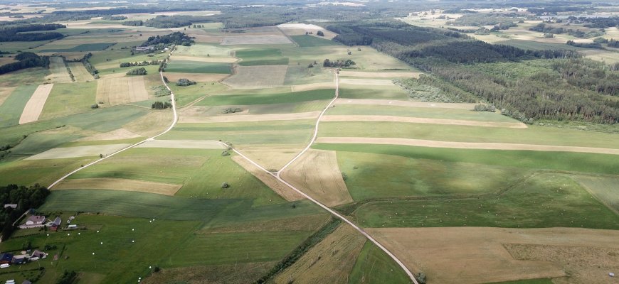 ŽŪM: neužtikrinus skaidraus žemės plotų naudojimo, NŽT bus atliekamas auditas