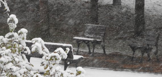 Lapkričio pirmoji rokiškėnus pasitiko gausiu sniegu (video+foto)