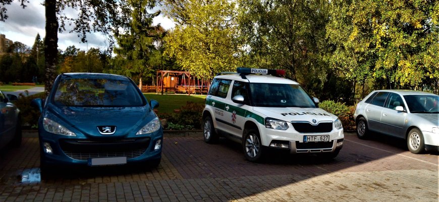 Pasipiktinusi darželinuko mama: ar Rokiškio policijos pareigūnams automobilius galima numesti bet kaip?